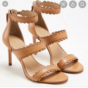 NIB Ann Taylor Raina Scalloped Heel